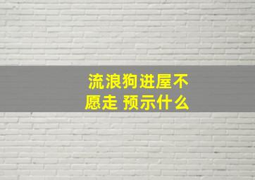 流浪狗进屋不愿走 预示什么